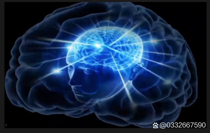 吃瓜网每日大赛 - 老牌影帝私生子风波再起，亲子鉴定报告 allegedly 曝光